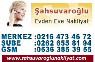 kartal evden eve nakliyat