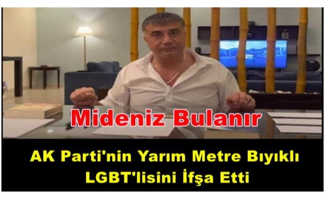 Peker AKP'nin LGBT'lisini Dillendirdi