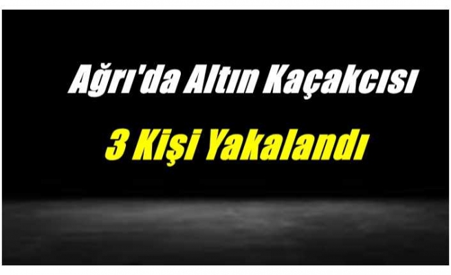 Ağrı'da altın kaçakçılığı yapan 3 kişi yakalandı