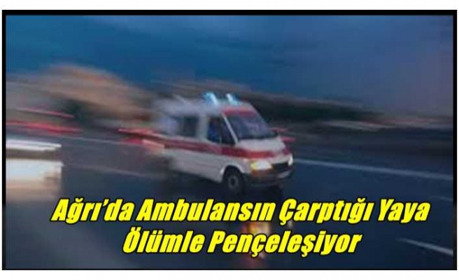 Ağrı’da Ambulansın Çarptığı Yaya Ölümle Pençeleşiyor