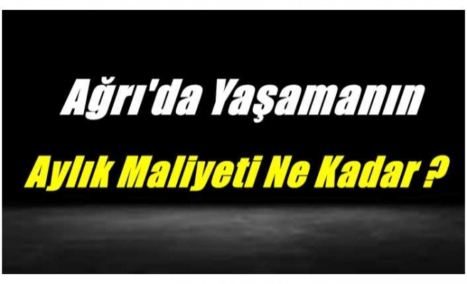 Ağrı'da Yaşamanın Aylık Maliyeti Ne Kadar