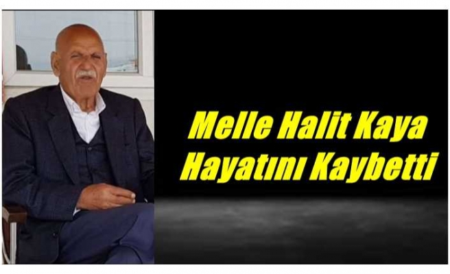 Halit Kaya Hayatını Kaybetti