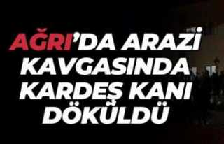 Ağrı'da kardeşler arasına arazi davası girdi...