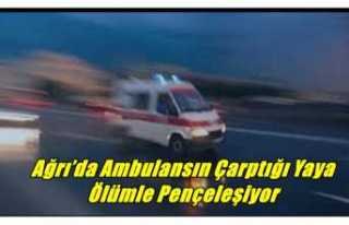 Ağrı’da Ambulansın Çarptığı Yaya Ölümle...