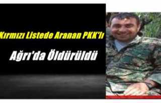 Kırmızı Listede Aranan PKK'lı Ağrı'da...