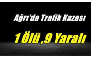 Ağrı'da Trafik Kazası 1 Ölü 9 Yaralı