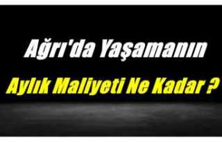 Ağrı'da Yaşamanın Aylık Maliyeti Ne Kadar