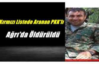 Kırmızı Listede Aranan PKK'lı Ağrı'da Öldürüldü