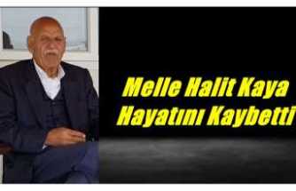 Halit Kaya Hayatını Kaybetti